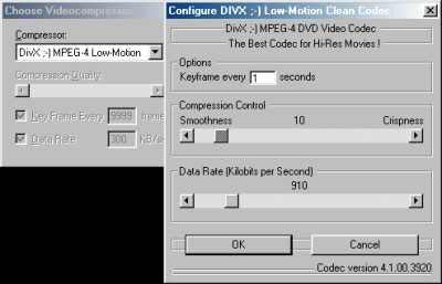 FlasK MPEG Video Codec