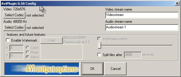 FlasKMPEG AVI Output Options